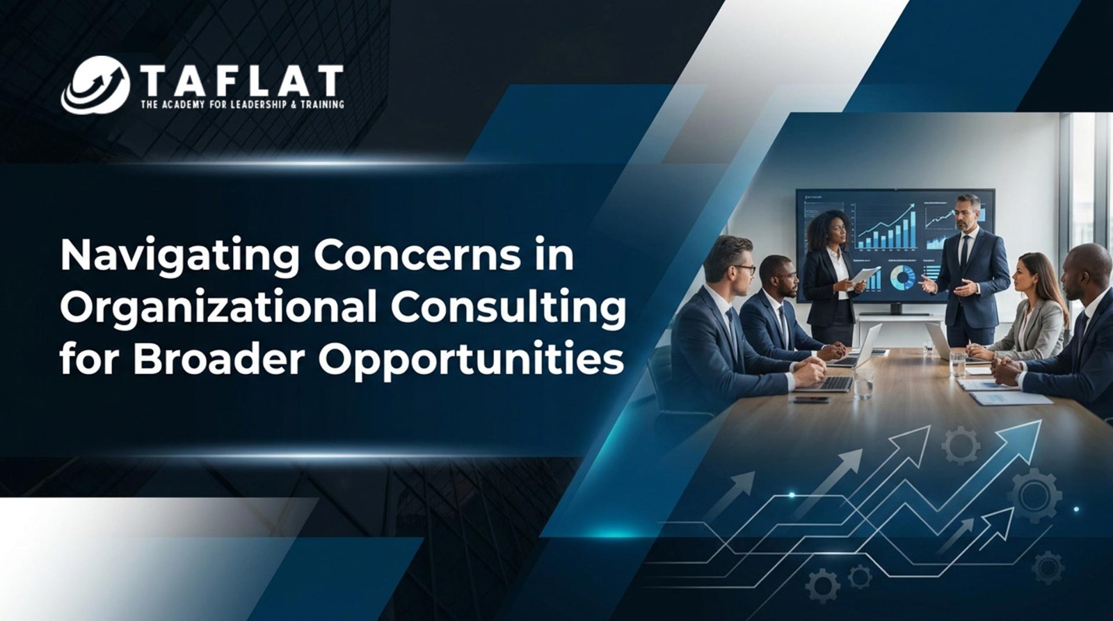 Navigating Concerns in Organizational Consulting for Broader Opportunities